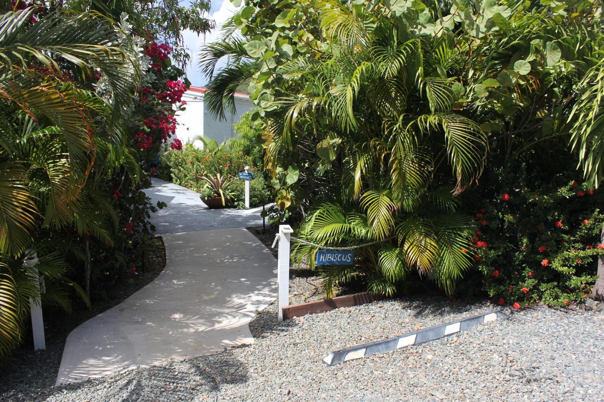 Beautiful Honeymoon Suite At Sunset Serenade Cruz Bay 外观 照片